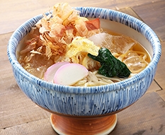 豊橋にかけうどん【6人前】