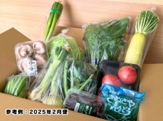 【送料込】東三河の旬の野菜・果物セット（3月）【発送期間3/17～28】