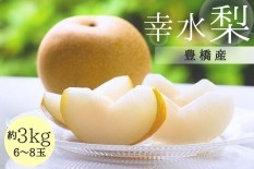 梨・幸水／8月上旬～中旬頃のお届け【予約期間7/30まで】